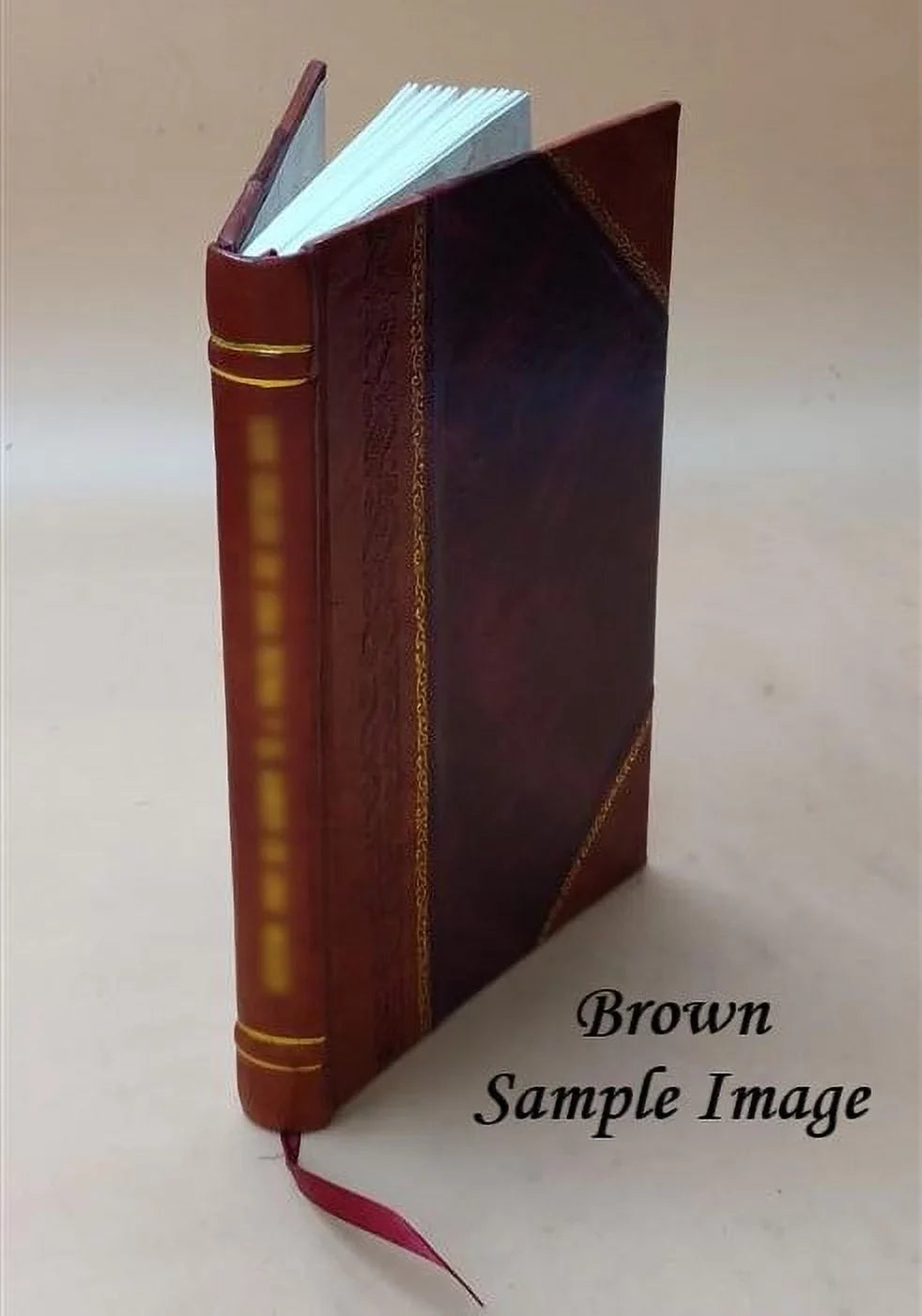 Sull'opportunità delle strade ferrate nello Stato Pontificio e sui modi per adottarle: riflessioni 1846 [Leather Bound]