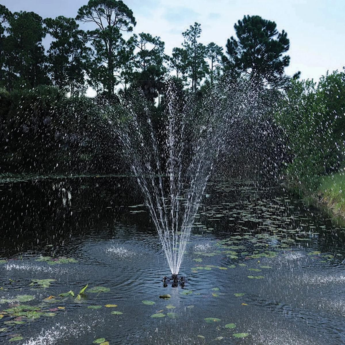 Oase OA45393 0.5  Floating Fountain with Lights