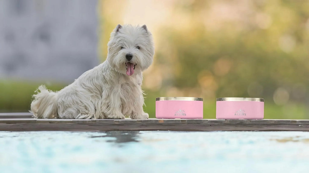 ALPINE Set of 2 Stainless Steel Dog Bowls, Non Slip, Metal Pet Bowl for Food and aqua, Double Walled Insulated, Rustproof, Dishwasher Safe (32 oz, Pink)