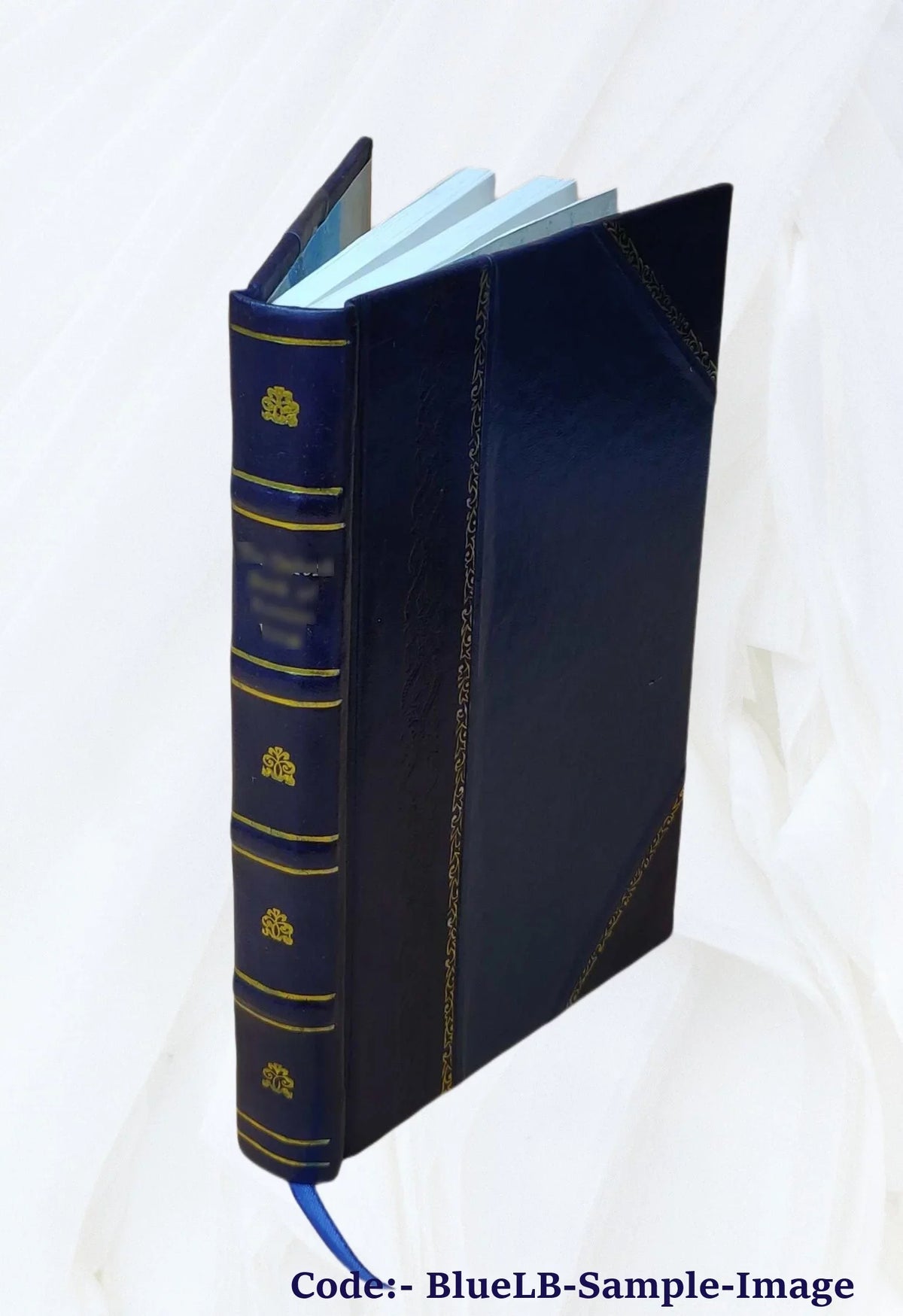 1905 [Leather Bound]. Emerson Palmer...authorized by the Board of education; introduction by Seth Low LL.D. The New York public school; being a history of free education in the city of New York by A