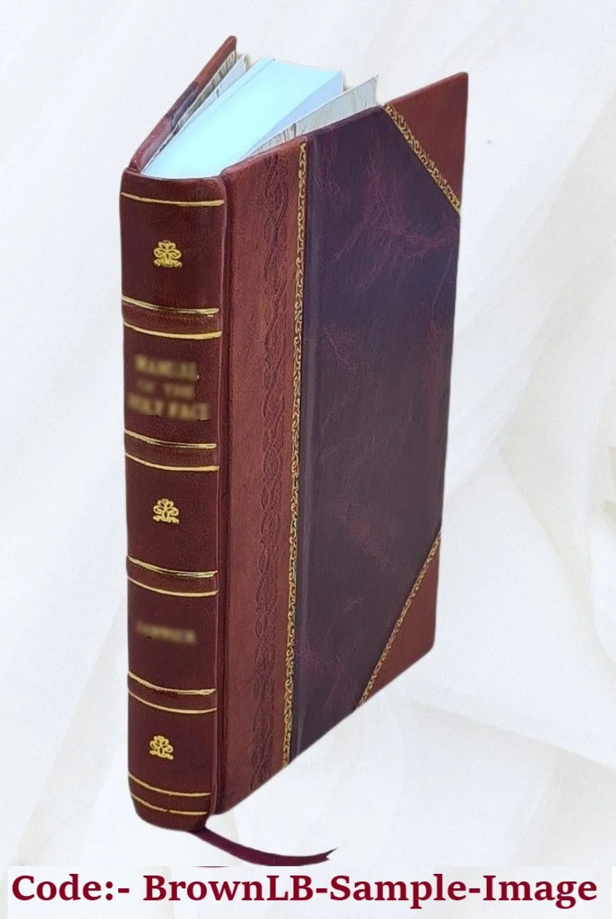 1894 [Leather Bound]. The prisoner of Zenda : being the history of three months in the life of an English gentleman / by Anthony Hope