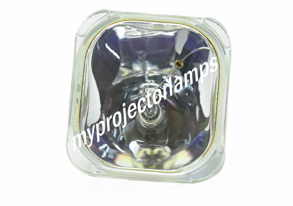 LP-XG22 Bare Projector Lamp