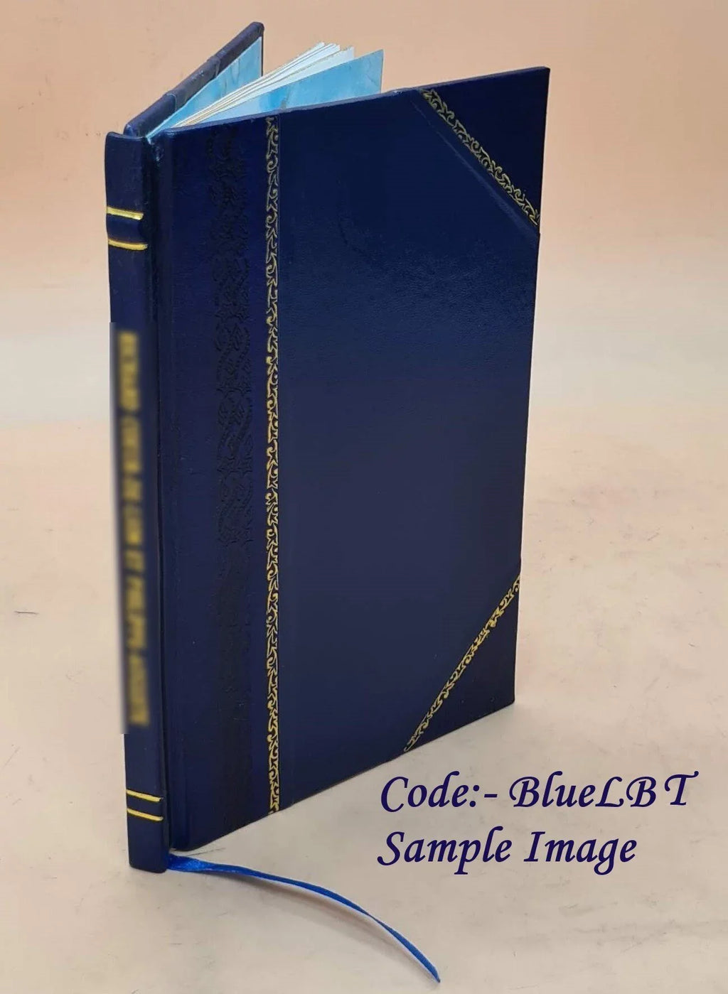Sull'opportunità delle strade ferrate nello Stato Pontificio e sui modi per adottarle: riflessioni 1846 [Leather Bound]