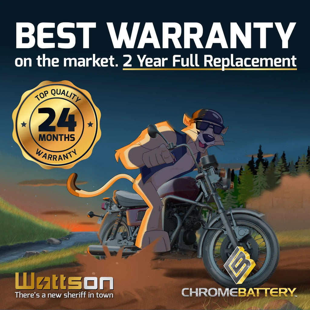 Tourer) 2001. E. C. Zipp Battery YTX14-BS (14-BS 12 Volt,12 Ah, 200 CCA) Motorcycle Battery for Honda 1100cc Vt1100c, C3, T Shadow (spirit, Aero, A