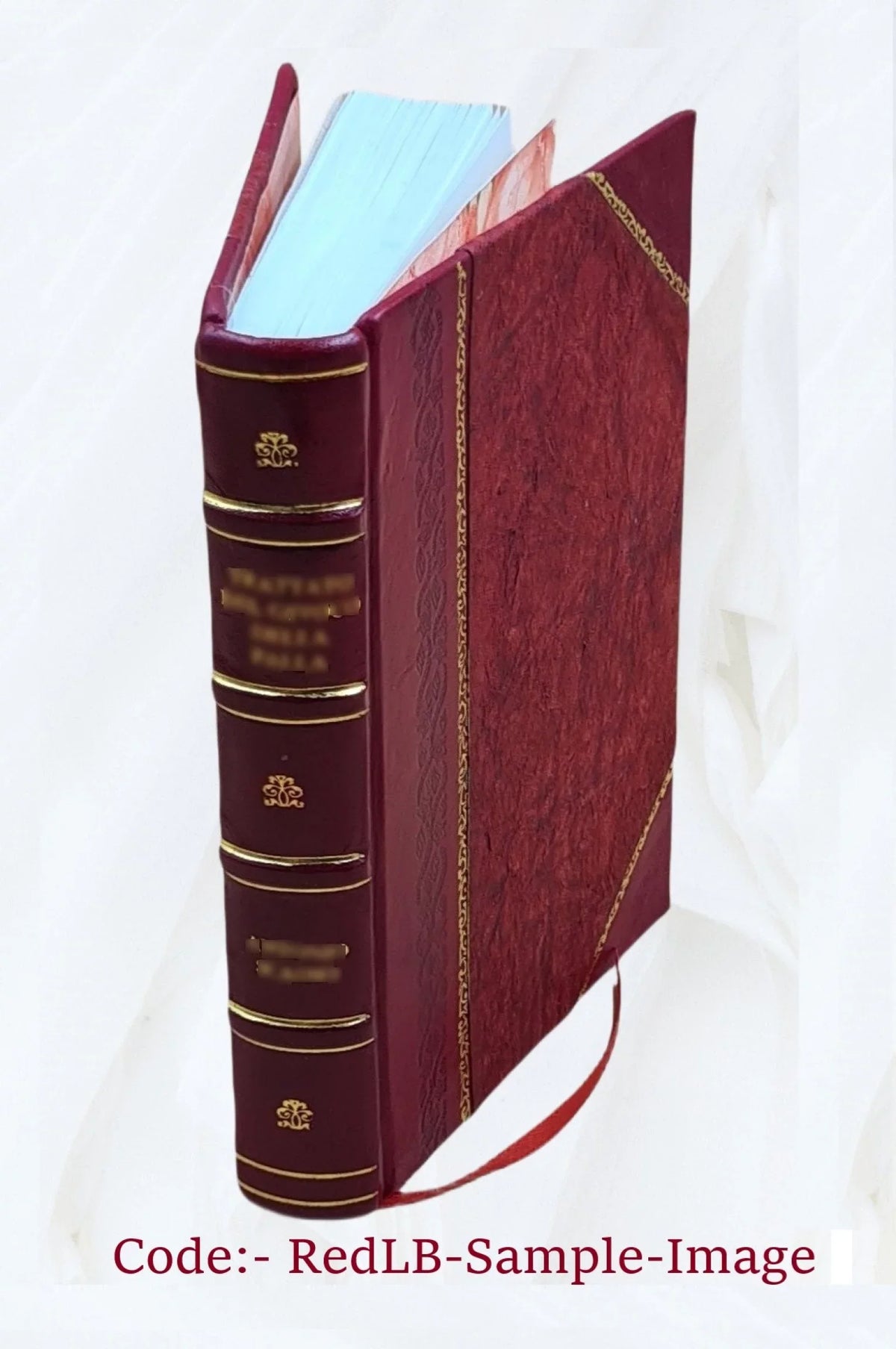 1874 [Leather Bound]. Nice, Cannes, Antibes, Monaco, Menton, San Remo
