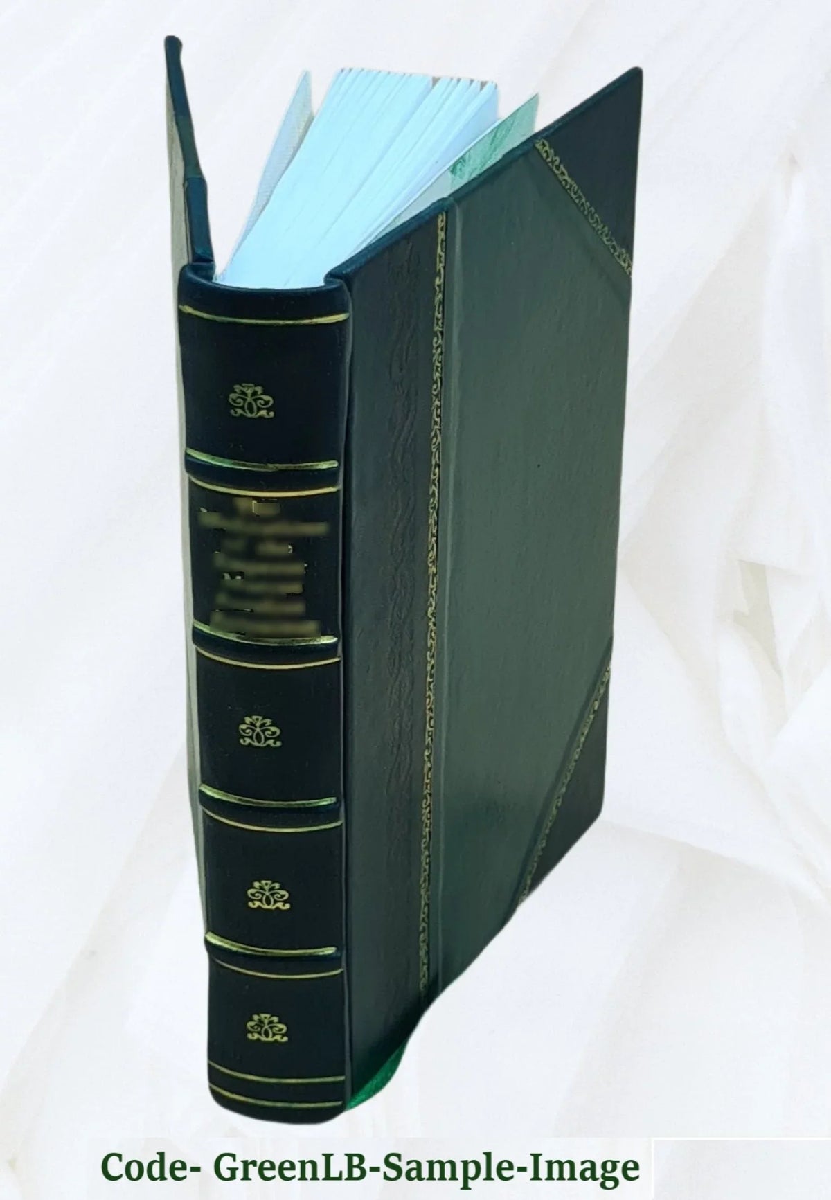1864 [Leather Bound]. The old helmet, by the author of 'Wide, wide world'