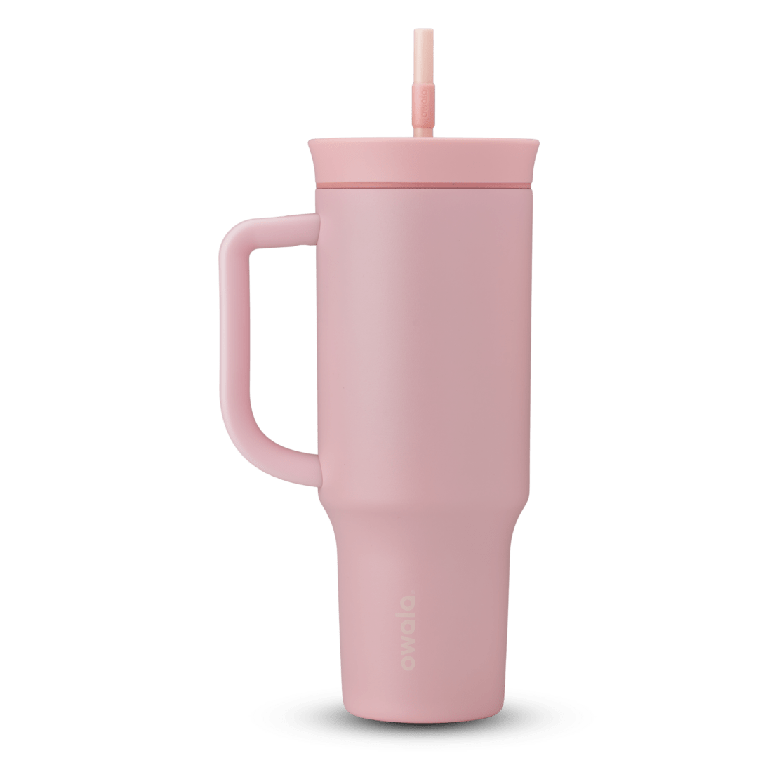 2-in-1 Bottle Brush